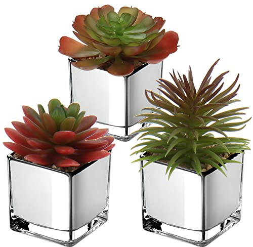 3PCS Sukkulenten Künstlich Kunstpflanze Deko Pflanze im Glastopf Dekorative Mini Sukkulenten Zimmerpflanze für Badezimmer Balkon Schlafzimmer Wohnzimmer Schreibtisch Dekoration