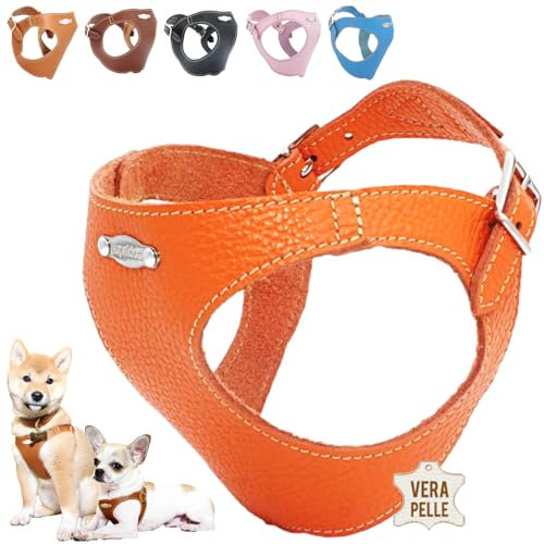 PUPAKIOTTI Brustgeschirr für kleine und mittelgroße Hunde, Leder-Hundegeschirr, ergonomisch und verstellbar, verfügbar Handgemacht in Italie (3XL-4XL, Orange)