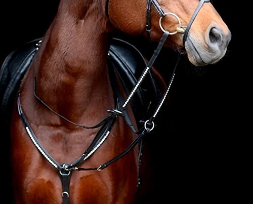 Tysons Breeches DEISTER Vorderzeug Schwarz Cognac Glitzer Strass Martingal Pony VB WB X Full Hilfszügel Springen (Warmblut, Schwarz)