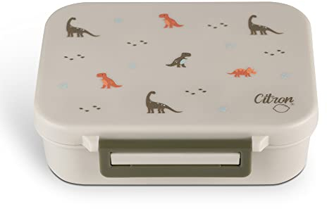 Citron Kids Lunch Box with Compartments 350ml – Premium Strong & Safe Materials BPA & Melamine-Free – Leak-Proof Snack Box with Compartments, Bento Lunchbox for Kids