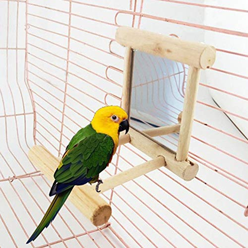 Gemini _ Mall Perchoir à oiseaux avec miroir pour perroquet, perruche, calopsitte, conure, inséparables, ara gris du Gabon, amazon, cacatoès, jouet en bois
