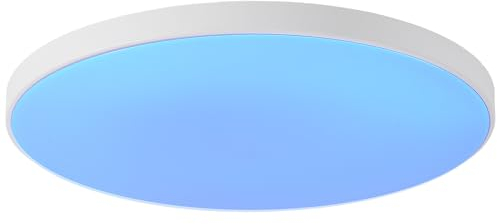 LED Deckenleuchte Alexa Kompatibel 32cm Smart Deckenlampe Weiß RGB Dimmbar mit Fernbedienung mit Apple Homekit Deckenleuchte Farbwechsel Steuerbar Via App 24W Rund Flach IP44 für Schlafzimmer Flur