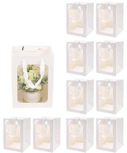 Leisofter Sac cadeau bouquet transparent avec fenêtre graduation sac en papier avec poignée, 10pcs