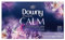 Downy Infusions Calm Dryer Sheets – 200 Laundry Dryer Sheets: 16 x 22 cm / 6.3 x 8.7 inches Per Sheet