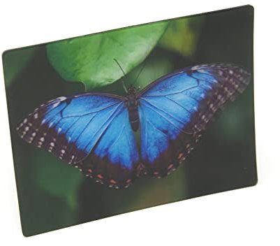 3D Magnet Blauer Morphofalter