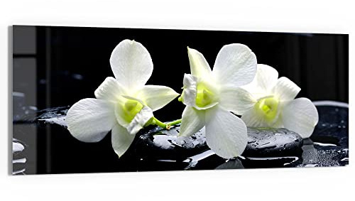 DEQORI Glasbild Echtglas | Motiv Orchidee mit Zen-Steinen | horizontal einteilig 125x50 cm | schöne Dekoration | Wandbild für Wohnzimmer, Schlafzimmer, Flur & Küche | moderne Wanddeko