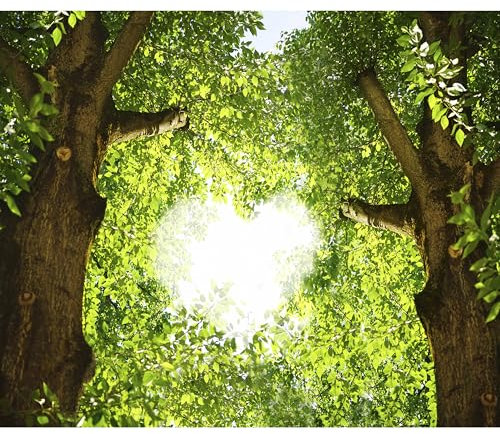 decomonkey - Papier Peint Panoramique Foret 350x256 cm - Décoration murale moderne – Tapisserie décorative pour chambre salon - Des arbres feuilles nature romantique cœurs vert