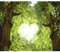 decomonkey - Papier Peint Panoramique Foret 350x256 cm - Décoration murale moderne – Tapisserie décorative pour chambre salon - Des arbres feuilles nature romantique cœurs vert