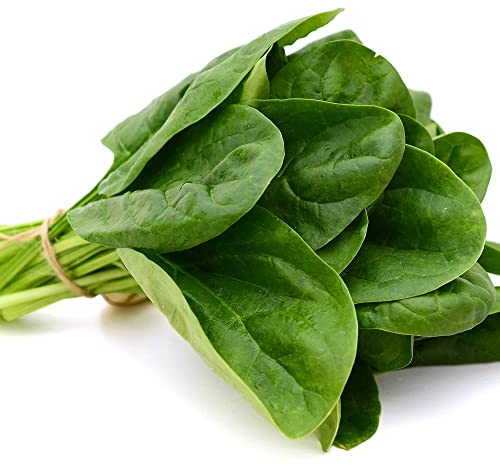 Spinach Plants, Spinach 'Renegade', 6 x Plug Plant Pack, Vegetable Plants, Garden Veg Garden Ready and Ready to Plant, Premium Quality Vegetables