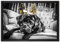 Pixxprint Mops mit Krone auf Thron Leinwandbild 60x40 cm im Bilderahmen, Wandbild, Schattenfugenrahmen, Kein Poster