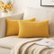 MIULEE 2er Set Kissenbezüge Kord Kissenhülle Dekorative Kissenbezug Sofakissen Couchkissen Dekokissen Zierkissenbezug Kuschelkissen für Sofa Schlafzimmer Wohnzimmer 30x50 cm Senfgelb