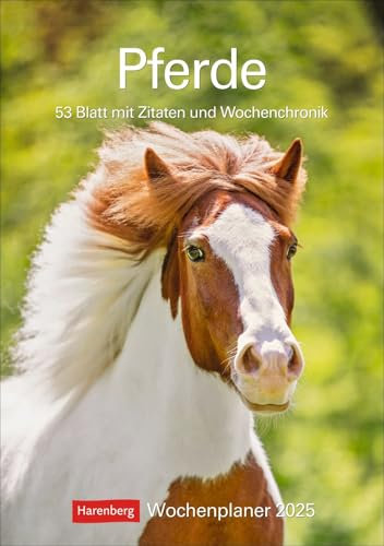 Pferde - Wochenplaner 2025 - Harenberg-Verlag - 54 Blatt mit Pferdefotos und mit Raum für Notizen - Wandkalender - 25 cm x 35,5 cm