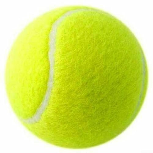 ZWEquipint Tennisball-Spielzeug für Hunde, entworfen mit Blick auf Haltbarkeit, perfekt für den Außenbereich