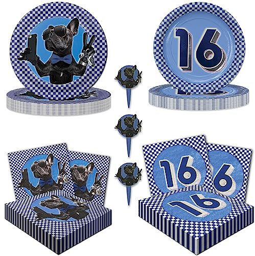 Boys 16th Birthday Party for 16 Deluxe! Includes 16 ea. Dinner Plates, Side Plates, Luncheon Napkins & Beverage Napkins and 24 Party/Food Picks. by Havercamp
