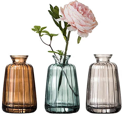 3 Stück Kleine Glas Vasen Set für Tischdeko Glas Blumenvasen Set Mini Vasen Für Tischdekoration Innendekor Hochzeit