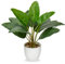 Oiseau de paradis artificiel de 37 cm - Plantes tropicales décoratives d'intérieur - Plantes artificielles esthétiques pour décoration de chambre à coucher, bureau, maison