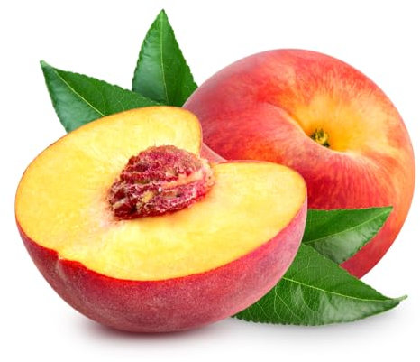 Peach Trees, Multi Pack, 2 x Large Trees in 10 Litre Pots, 1.4 to 1.6 Metre Height, Fruit Plants, Peach, Garden Ready and Ready to Plant, Premium Quality Fruit Trees