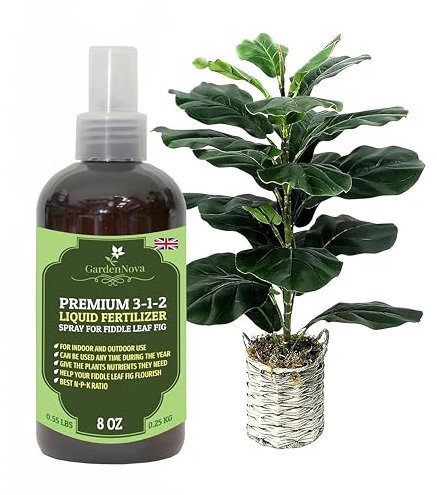 Professional Fiddle Leaf FIG Spray Fertilizer Mist for Home Gardening | 3-1-2 Gentle Blend Mist for Healthy Leaves & Growth | Essential Nutrients for Fiddle Leaf Figs - 8oz