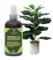 Professional Fiddle Leaf FIG Spray Fertilizer Mist for Home Gardening | 3-1-2 Gentle Blend Mist for Healthy Leaves & Growth | Essential Nutrients for Fiddle Leaf Figs - 8oz