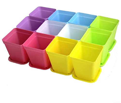 Lot de 12 mini pots de fleurs carrés en plastique colorés avec plateaux 7 cm