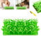 Grasmatte für Katzen, Silikon-Schnüffelmatte für Hunde und Katzen, interaktive Katzengrasmatte, Futterspielzeug, Nasenarbeitstraining, Futterspiel, Katzengrasmatte für Indoor-Katzen, 2 Stück