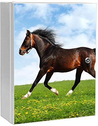 banjado® XXL Medizinschrank abschliessbar mit Motiv Pferd 35x46x15cm - großer Arzneischrank/Medikamentenschrank aus Metall zur Medikamenten Aufbewahrung - Apothekerschrank mit 3 Schlüsseln