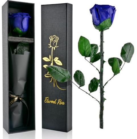 PLECUPE Rose éternelle avec tige - Véritable rose Infinity dans boîte cadeau pour femme - Rose conservée - Durable - Dans boîte cadeau - Pour mère, petite amie, Saint-Valentin, fête des mères - Bleu