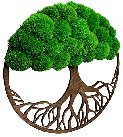 Hello Moss - Moosbild - Baum Wanddeko mit Moos - Runder Baum mit einer Krone aus Moos - Wand Deko mit Kugelmoos - Moosbilder für Ihr Haus - verschiedene Großen - Handgefertigt Mooswand (Braun, 70cm)