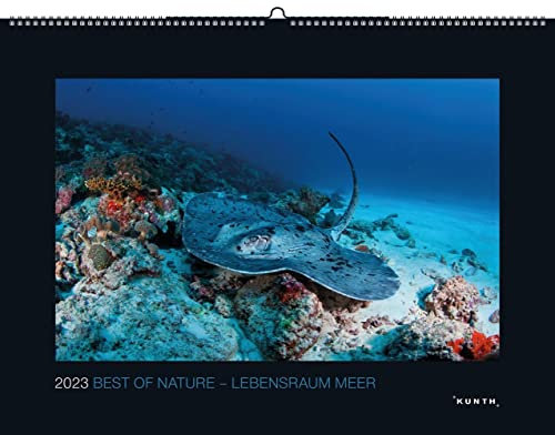 Best of Nature - Kalender 2023 - Lebensraum Meer - Kunth-Verlag - Wandkalender mit zauberhaften Aufnahmen - 60 cm x 45 cm