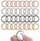 32 Stück Schlüsselanhänger Ringe, Runde Karabiner 28mm Rund Karabinerhaken O-Ring Zinklegierung Frühling Sprung Ringe für Schlüsselanhänger Tasche, DIY Taschenringe Handwerk Machen