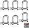 Schäkel D-Form, 6 Stück M8 D Schäkel, 304 Edelstahl D-Ring-Schäkel, Schäkel Edelstahl, Sperren Schäkel, Schraubverbinder, D Schäkel Edelstahl, für Takelage Kordeln Befestigungen