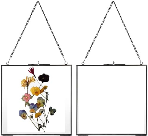 JUXYES Lot de 2 cadres photo muraux en laiton, cadre flottant en verre pour affichage de fleurs pressées d'œuvres d'art, cadre flottant à double verre carré, cadre mural pour photo, affiche, etc