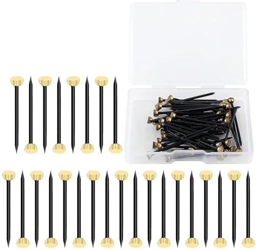 Picture Hanging Nails, Brass Head Heavy Duty Picture Nails for Photo Frames | 60PCS Brass Head Picture Hanging Nails With Storage Box Heavy Duty Picture Wall Pins Designed For Photo Frames Drywall Wood
