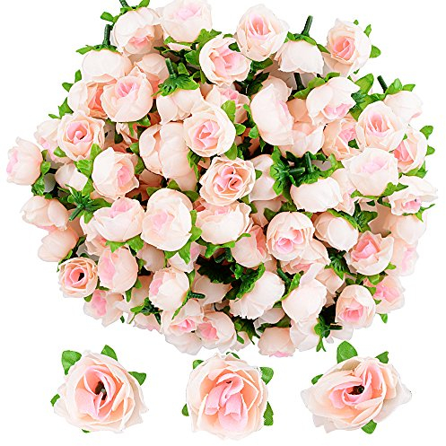 JNCH 100pz Teste di Rose Fiori Artificiali Seta Finte Piccole per Decorazioni Matrimonio Festa (Champagne)
