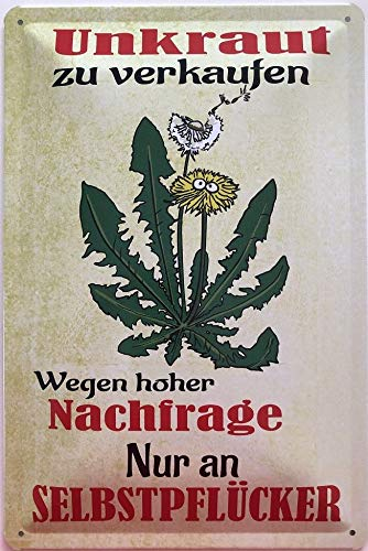 Deko7 Blechschild 30 x 20 cm Garten Spruch: Unkraut Wegen hoher Nachfrage. Nur an Selbstpflücker