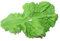 BALSAT Lechuga Pescaderia Artificial Homologada con Registro Sanitario. Decoracion pescaderias - Paquete de 12 ud.