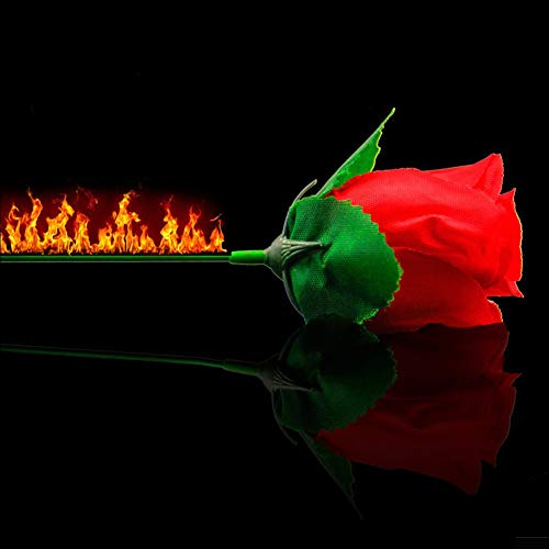 ZQION Fackel zu Rosenfeuer Magic Trick Flamme erscheinende Blume Professionelle Magier Requisiten Mentalismus Magic Gimmick, 10 Stück pro Packung