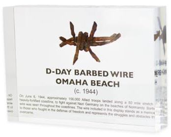 Engineered Labs World War II Barbed Wire Artifact Display – Authentic Historical Collectible Memorabilia, WWII Relic, Ideal for Military History Enthusiasts, Vintage Era Display