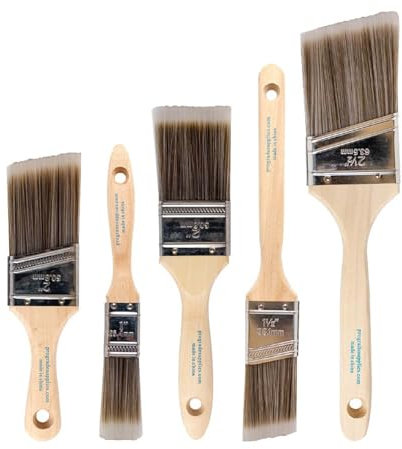 Paint Brush Set-5 Piece-Pro Grade,Wood Handle,Premium Wall Brush Set,House Paintbrushes,Trim Paintbrush,Sash Paint Brushes for Cabinet,Sash,Home Improvement Trim Edging