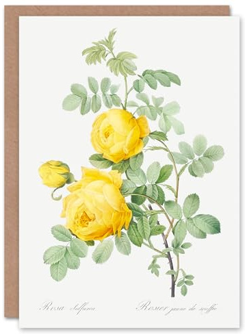 Artery8 Pierre-Joseph Redouté Art Card Yellow Rose Vintage Botanical