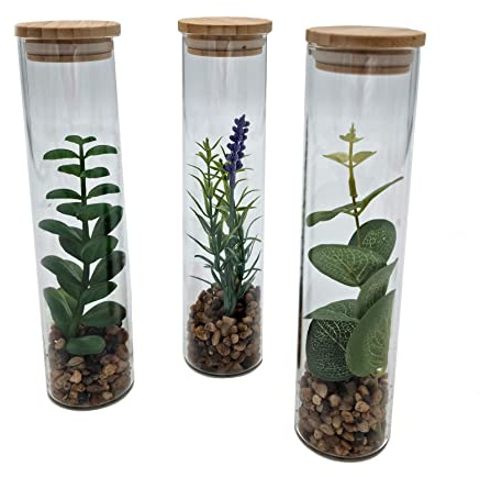 Lot de 3 plantes artificielles dans un vase en verre d'env. 20 cm – Plantes grasses dans un verre avec couvercle en bois – Décoration de table de bureau dans un vase en verre Vert