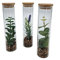 Spetebo Kunstpflanze in Glasvase ca. 20 cm - 3er Set - Sukkulenten im Glas mit Holzdeckel - Tisch Büro Deko Zimmer Pflanze in Vase Set künstlich grün