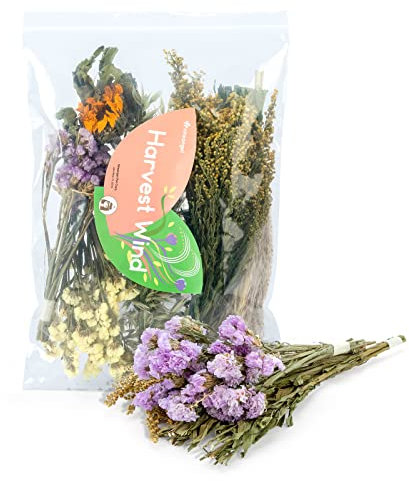 Niteangel Lecho Natural y Suave para Hámster: Decoración del Hábitat para Pequeños Animales como Hámsters Enanos Sirios, Gerbos, Ratones, Degús, Conejos u Otros Animales (Versión de Flores)