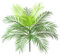 TXErfolg Künstliche Pflanze 1STK(15 Blätter) Kunststoff Palm Plant Indoor Künstliche Tropische Palmblattbusch(63cm Lang) für tropisches Grün Akzent Hochzeit Party Home deko(Ohne Pflanztopf)