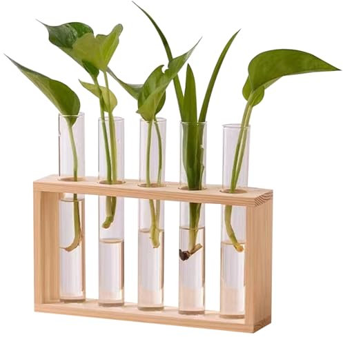 Wedhapy Anlagenausbreitung Station 5 Glaspflanzer mit Holzständer -Testrohre für Pflanzen Desktop/Wandhänge -Pflanzen -Terrarium zur Vermehrung von Hydroponikpflanzen.