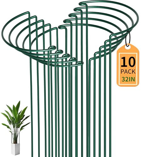 SYITCUN Lot de 10 supports pour plantes – 80 cm de haut, 35 cm de haut, semi-circulaire, robustes en fil de fer de 5 mm pour pivoines, roses et plantes grimpantes