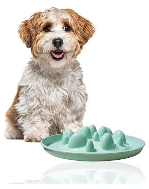 Rohrschneider Antischlingnapf Hunde | Antischlingnapf Katze | Futternapf Katze | Futternapf Hund | Fressnapf Hund | Fressnapf Katze (Grün)