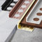 Raouoae Fliesenprofil Aus Aluminiumlegierung Fliesenschiene Quadratprofil Für Fliesen 125CM*2 Länge Abschlussleiste Fliesenabschlussleiste EckprofilWinkelprofil Zum Kantenschutz(Gold,W:11.1MM)