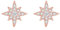 Loutade Silver Star Stud Earrings with Cubic Zircon, Rose Gold Starburst Studs for Women and Teen Girls