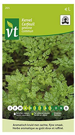 Organic Common Chervil Seeds - Sow Several Times Throughout The Season - 3 g - Seeds: 500